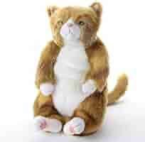 Amazon.co.jp: ぬいぐるみ 特大 (ネコ 猫 ねこ) わさ美 Cuddly