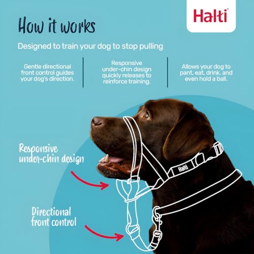 Image of Halti Headcollar for Dogs | Size 2, Forest Green | Stop Your Dog Pulling on the Leash | Adjustable, Reflective, Lightweight | Padded Nose Band | Training Collar for Medium Dogs