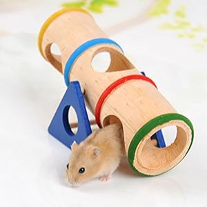 YYCFB Huisdier kleine dierenspeelplaats houten wip speelgoed voor kleine dieren dwerghamsters en muis