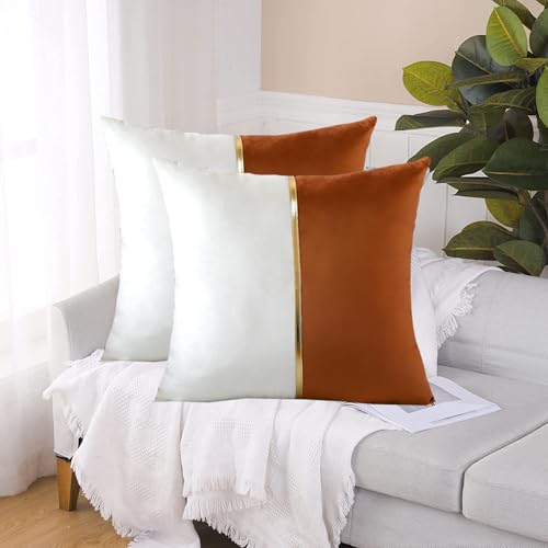 Image of HIMS Velvet Sofa Pillow Cover Set of 2, Luxury Cushion Cover 16 inch x 16 inch for Decorative Living Room Sofa Bedroom Car (16x16 Inch, Brown)
