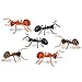 Accoutrements Archie McPhee Funny Gift Box of Novelty Ants (6 Pack)
