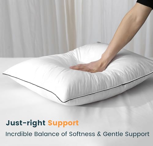 Luxury High Fill Power Goose Down Pillows 700Fill， Breathable Cotton Shell, Orthopedic Support for Back, Stomach Side Sleepers, Queen Size Pillows 20"x28", 1 Pack