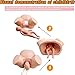 GFLCWYP Advanced Midwifery Training Model, Anatomy Childbirth Simulator Manikin, for Nursing Medical Training Teaching Medical Supplies
