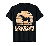 Vintage Sunset Shirt Western Inspirational Gift