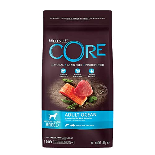 WELLNESS CORE Ocean Salmon - Comida para Perros (1,8 kg)