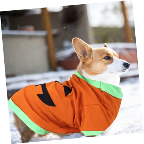Disfraz Halloween Calabaza para Perro Talla M miniatura 4