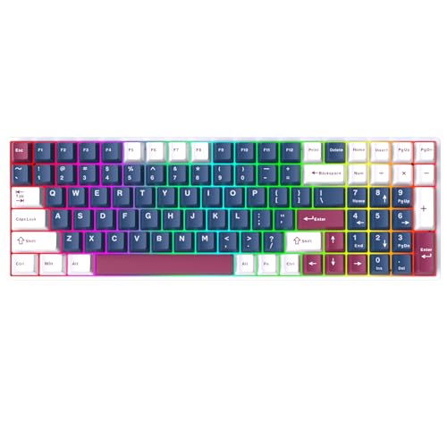 Qixingzhe DK96 ワイヤレスメカニカルキーボード、トライモード BT5.0/2.4GHz/USB-C 有線ホットスワップ カスタム RGB ゲーミングキーボード フルサイズ 100 キー クリーミーキーボード テンキー付き エルゴノミック NK