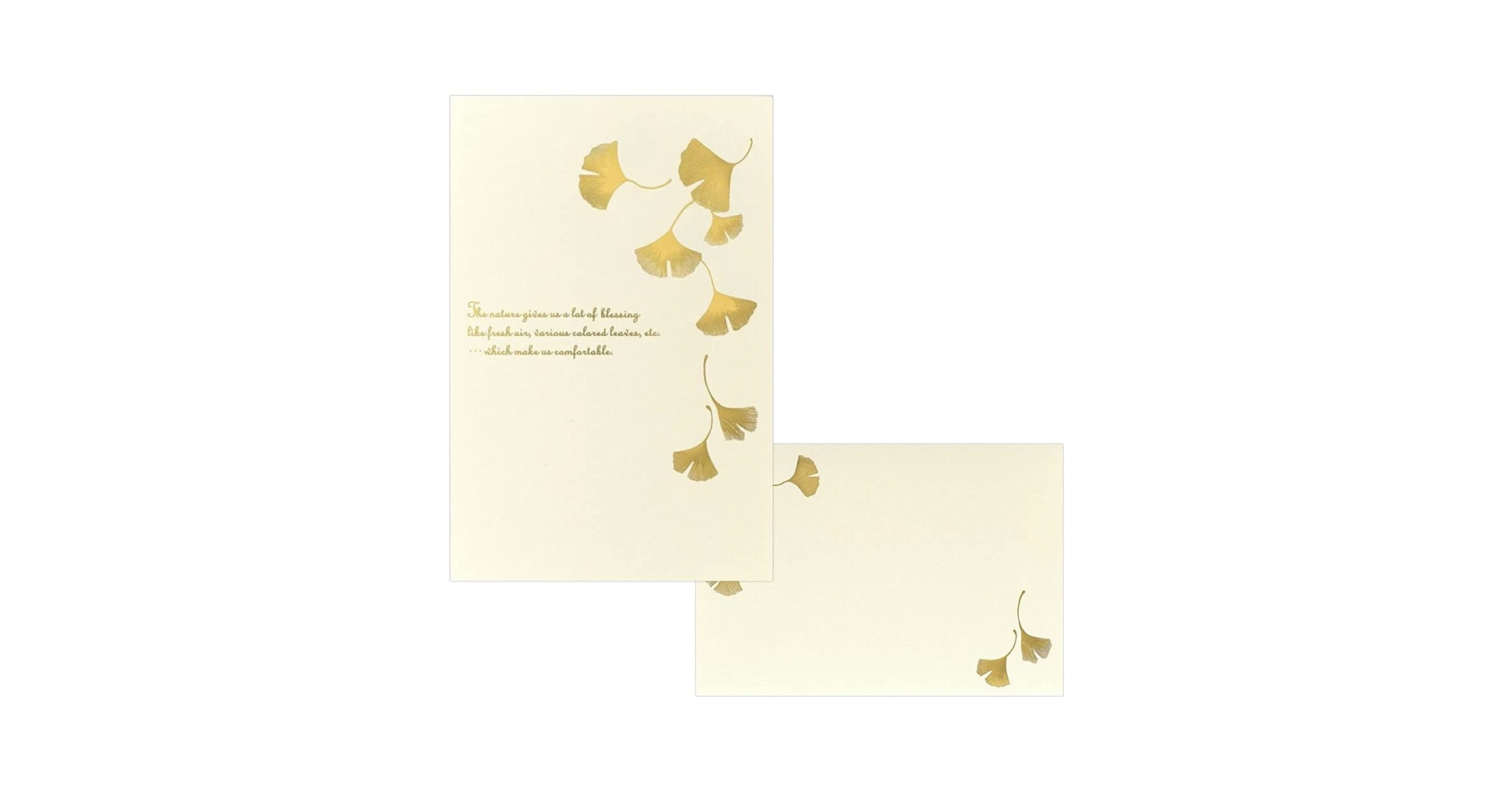 Amazon.co.jp: レターセット 秋柄 A5 オータムギフト 銀杏