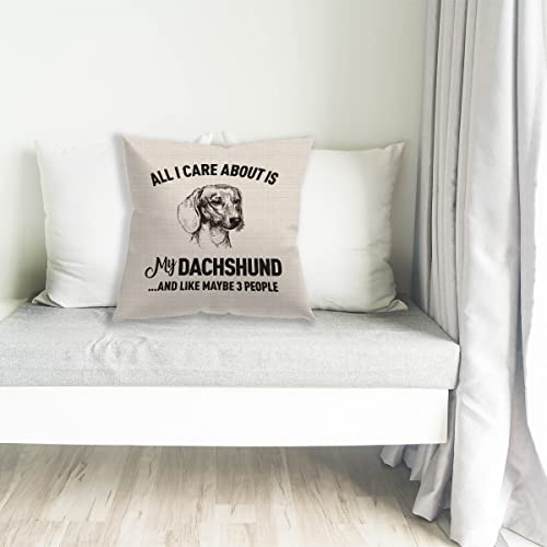 All I Care About Is My Dachshund Cute Sausage Dog Throw Pillow Cover,18'' X 18'' Inch Pillow Case, Gifts For Dog Lovers Dachshund Mom Women Girls,Bedroom Living Room Girls Room Home Office Decor #TOP2