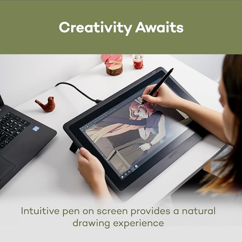 Professional Drawing Tablet with Screen 2K