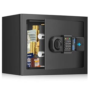 15L Safe Tresor für Zuhause, Feuerfester Safe mit Ersatzschlüssel, Abnehmbarem Regal und Alarmanlage, Klein Digitaler Tresore mit Zahlenschloss für Bargeld Wichtiger Dokumente