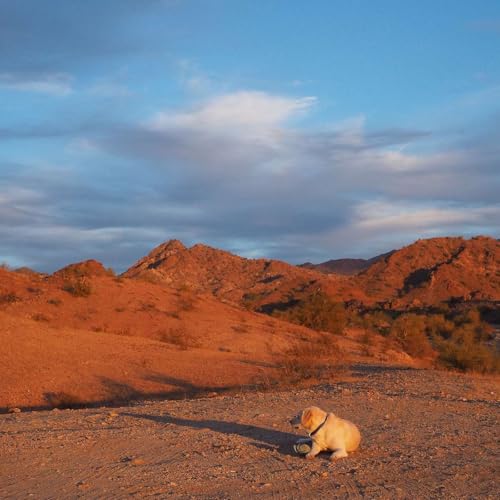 Ep 28 The Arizona Desert Podcast Por  arte de portada