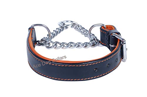 How do you put a choke chain on a dog