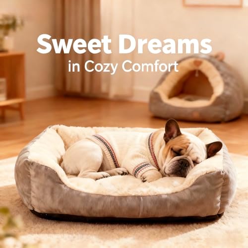 Image of Small /Medium Dog Sweater, Warm Dog Winter Coat w /Sleeves, Comfortable High Neck & Leash Hole, Premium Dog Clothes for Bulldog-Best for Holidays, Daily Walks L White