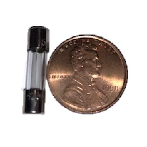 Dealenvy- (12 Pack) 5 Amp Fuse / 125V Fuse 5A Max/Fast Blow, 0.2 X 0.78 Inch / 5 X 20 Mm/Little Glass Fuses For Outdoor String Lights, Christmas Lights, Box Fans And More Tc-67 #TOP4