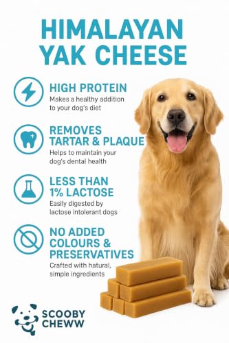 Image of Himalayan Yak Dog Treat, 100% Veg and Natural Protein & Calcium Rich Dental Chew for All Breed Strawberry (2 Medium Stick)