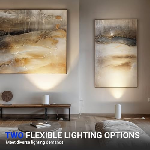 Image of Barrina Uplighting Indoor Spotlight, 2700K E26, 2 in 1 Detachable 2-Pack | Adjustable Tree Up Lights Floor Can Light, Spotlights for Indoor Plants Picture Home, 6.56FT Plug Cord, Foot Switch, White