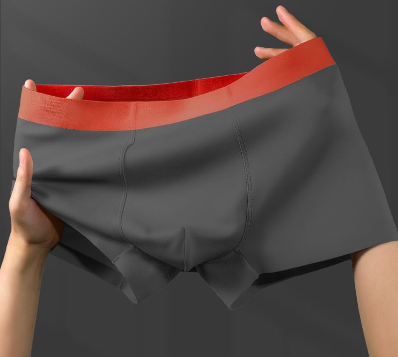 Mens Underwear Boxer Briefs Breathable Stretchy Summer 2025 Comfy Trunks Sport Workout Soft Modal Boxer Brief3
