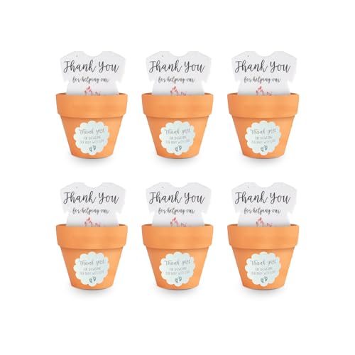 Papier à graines avec mini pots orange pour cadeau invité original - 2