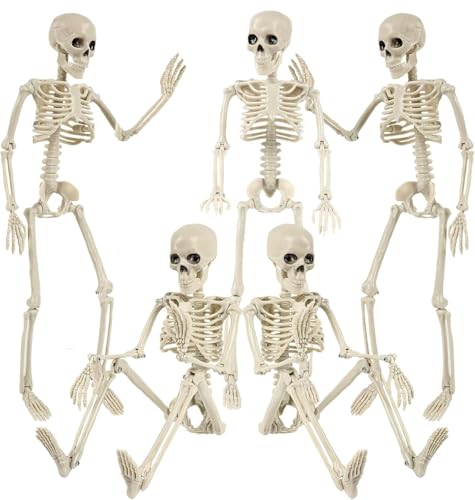 5PCS Halloween Skeleton Decorations, 16 Full Body Mini Skeleton with Movable Posable Joints, Realistic Spooky Scary Prop for Party Decor, Graveyard, Haunted House Prop Decor