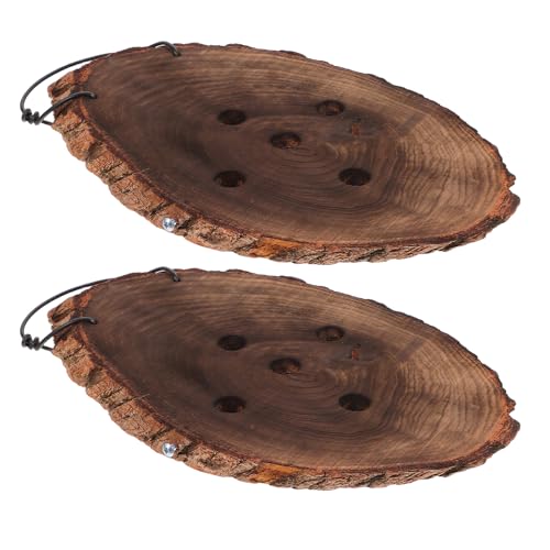 Gogogmee 2 Pièces Planche de Montage Bois pour Platycerium Fern Support Mural pour Orchidées Décoration Murale Intérieure Installation Facile et Gain de Place