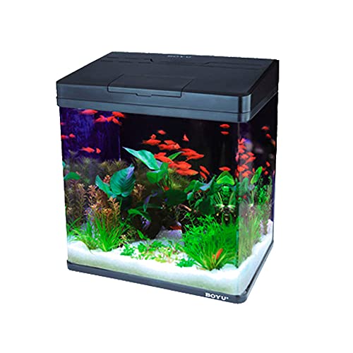 Boyu - Aquário Curvo Ms-420 31L Preto 220v