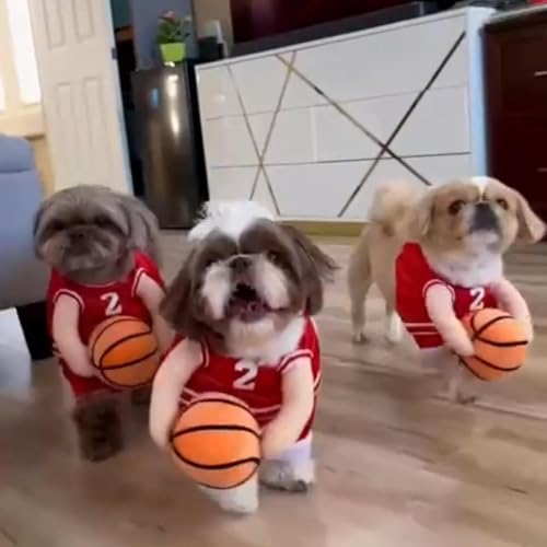 Disfraz de Baloncesto para Perros Pequeños Rojo miniatura 4
