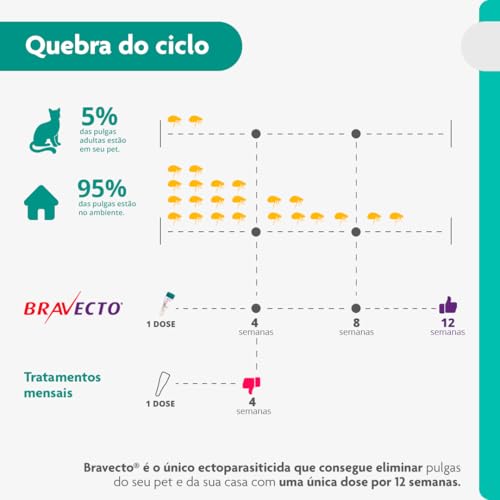 Bravecto Transdermal Gatos de 2.8 até 6.25kg Bravecto para Gatos, 2.8 a 6.25kg,