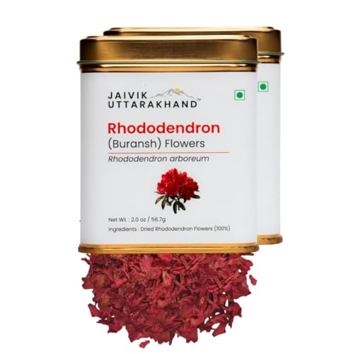 Image of Jaivik Uttarakhand - Rhododendron (Buransh) Flower Tea (113.4 g), Caffeine-Free, Rich in Antioxidant, Immunity Booster, Nourishes skin, Pack of 2 Tin Box