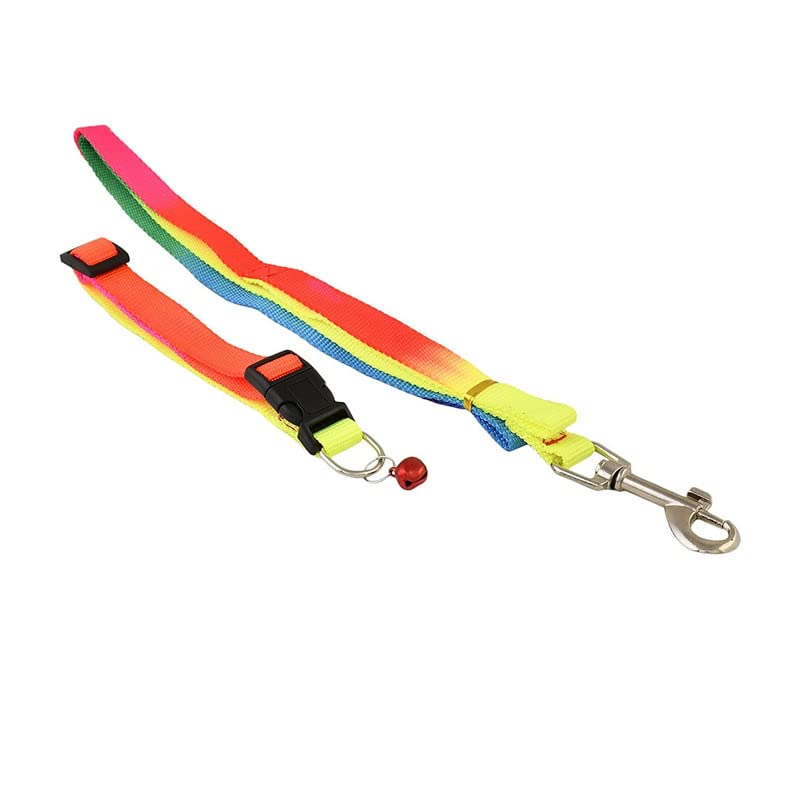 Dog & Cat Dog Belt Combo of Multicolor Ghungroo Collar with Multicolor Lead 1.5m Lengthy Rainbow Dog Collar & Leash for Puppy, Kittens, Cats & Small Animals, Pack of 1 (Multicolor) (B09V5QZSVF) Amazon Price History, Amazon Price Tracker