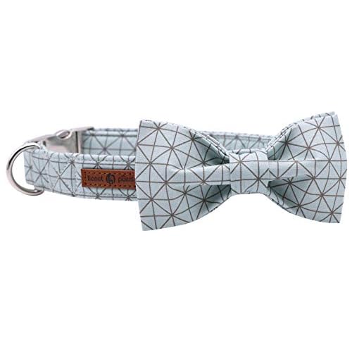 lionet paws Hundehalsband mit Fliege, Langlebiges Bequemes Baumwolle Halsband mit Metall Steckverschluss für Hunde und Katzen, Hals 20-30cm