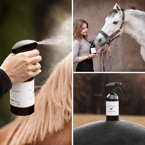 Animalon Mähnenspray für Pferde | Schweifspray Pferd Mähnenliquid | Fellglanzsspray Spray für Glanz für Fell & Langhaar Maehnenspray Pferdeglanz
