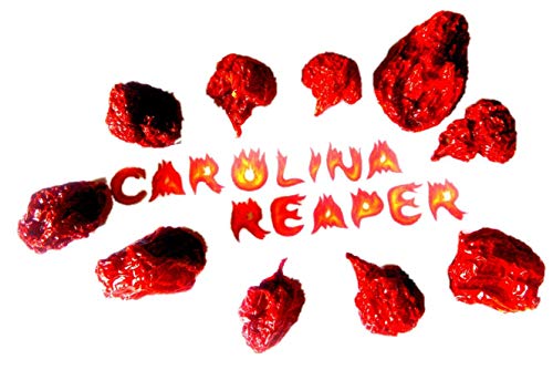 Amazseb Carolina Reaper Piment Entier Séché Sec - Piments Le Plus Fort Du Monde Entiers Séchés Secs , 10 Unité (Lot De 1) Cover