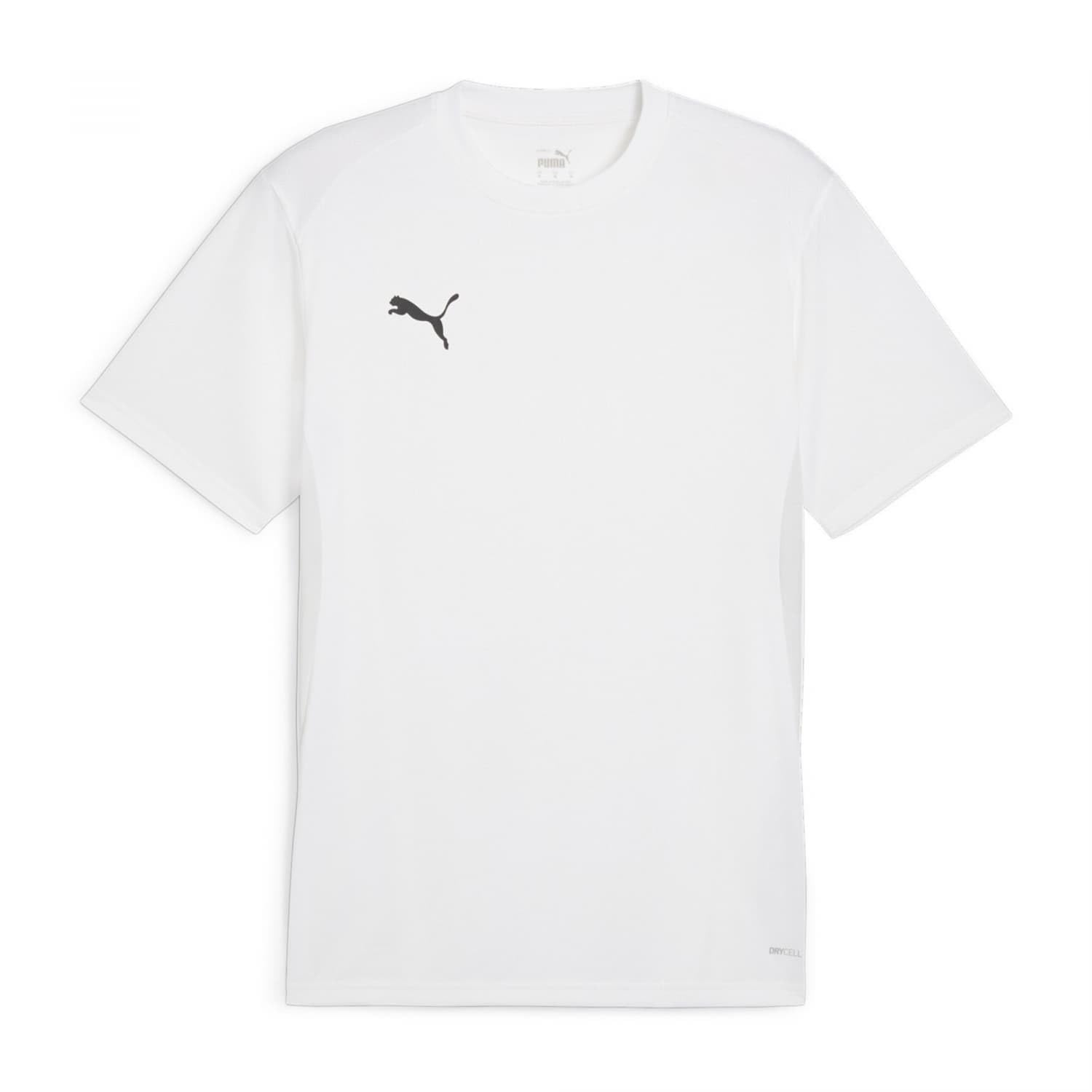 PUMA teamGOAL Jersey
