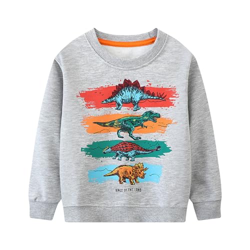 Boys Sweatshirts Casual Sweatshirts Cotton Sweatshirts Long Sleeve T-shirts Crew Neck Cartoon Tops for Boys-8