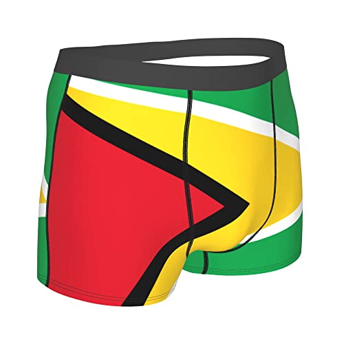 Florida Flag Mens Boxer Briefs Underwear Breathable Stretch Boxer Trunk with Pouch for Men, Youth3