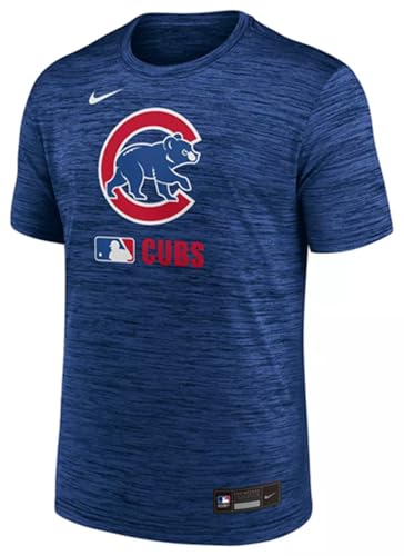 Nike Men's MLB Collection Velocity Dri-Fit T-Shirt (US, Alpha, Medium, Regular, Regular, Royal, Chicago Cubs)