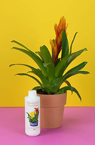 Bromeliad Fertilizer Liquid Plant Food for Bromeliads | Cryptanthus, Guzmania, Neoregelia Aechmea and Tillandsia Air, Aquatic Arts