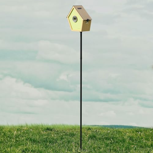 Support de sol de 198 cm RELI Birddy avec mât robuste réglable