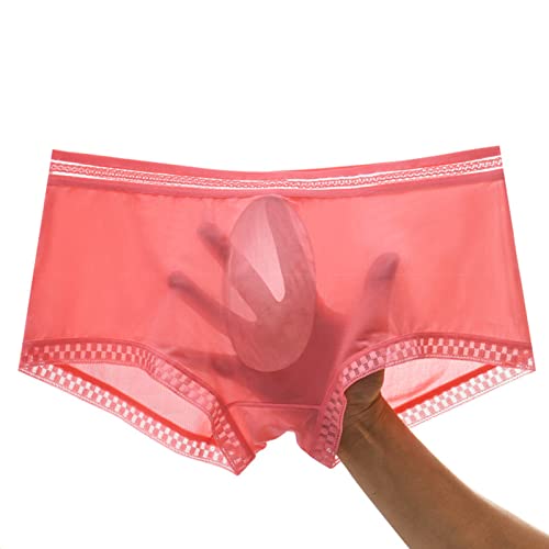 Evankin Mens Lace Boxer Briefs Sexy Translucent Underwear Ice Silk Seamless Lingerie Bulge Pouch3