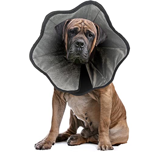 SimpArt Comfy Halskrause Hund für Hunde nach Operationen, weiches Erholungshalsband für Hunde und Katzen, Hundekragen Leckschutz für große, mittelgroße Hunde, mit Innenseite aus bequemem Plüsch-XL