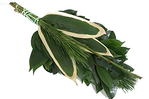 �r�_�� �� ������ ���|�~���� �}�t ���͂��� ���͂��\���ԁi12/26�`12/31�j