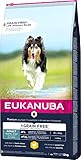 Eukanuba Hundefutter getreidefrei mit Huhn für große Rassen - Trockenfutter für ausgewachsene Hunde, 12 kg