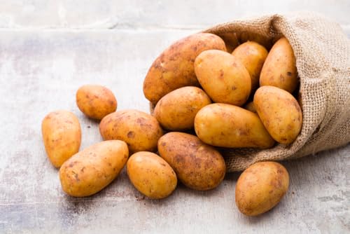 Russet Seed Potatos for Planting - Easy to Grow (2 Pounds)