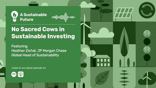 Page de couverture de Heather Zichal, JP Morgan Chase Global Head of Sustainability, on No Sacred Cows in Sustainable Investing