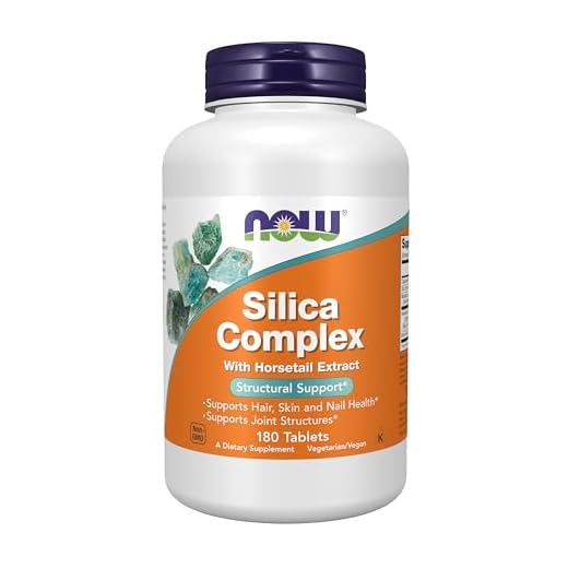NOW Silica Complex with Horsetail