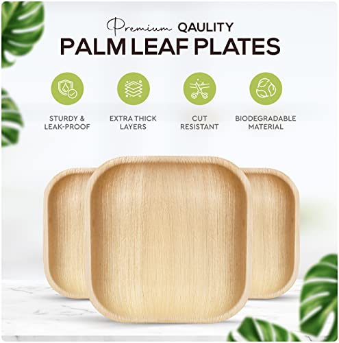 Palm Leaf Plates Bamboo Plates Disposable 6 Inch 100 Pack Bulk Eco-Friendly Biodegradable Compostable Plates Best Alternative To Wooden Plastic Paper Plates By Koalalove #TOP1