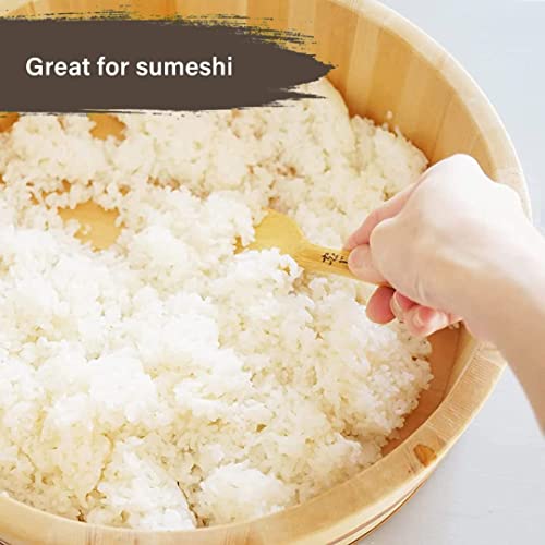 Tikusan Wooden Hangiri Sushi Rice Mixing Tub Pp Band With Lid Made In Japan Made Of Momi Fir Sushi Rice Bowl Sushi Oke (10.6" (27Cm)) #TOP3