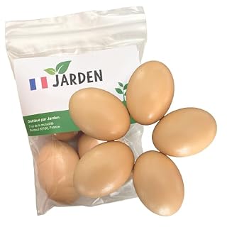 JARDEN œufs factices en bois, lot de 5 réalistes