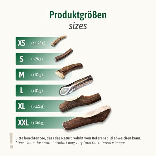 ChronoBalance® L - Hirschgeweih für Hunde – 1er Set Halbierte Kauspielzeuge, 100% Natürliches Kauknochen Hundespielzeug zur Zahnpflege, Nachhaltige Hunde Kauartikel ohne Chemie